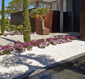 extérieur jardin maison