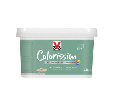 pot de peinture cactus satin v33