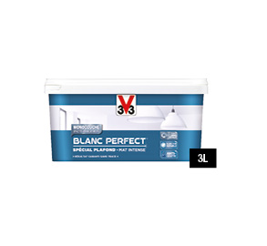 pot de peinture blanc plafonds