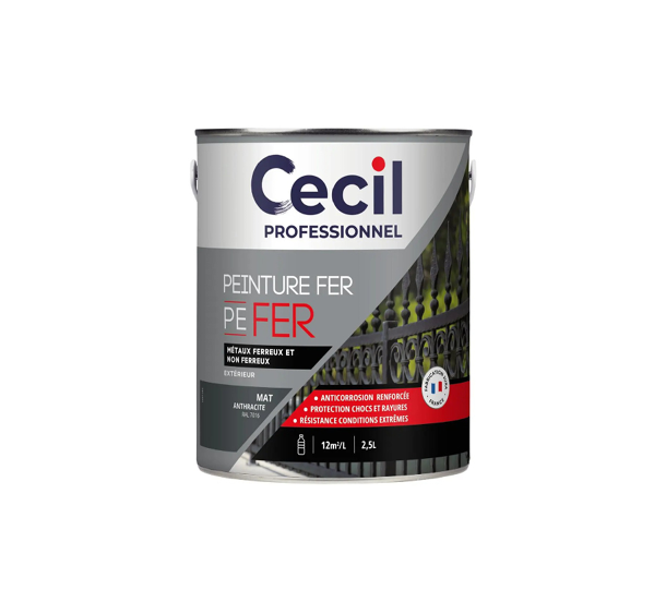 pot de peinture fer anthracite cecil