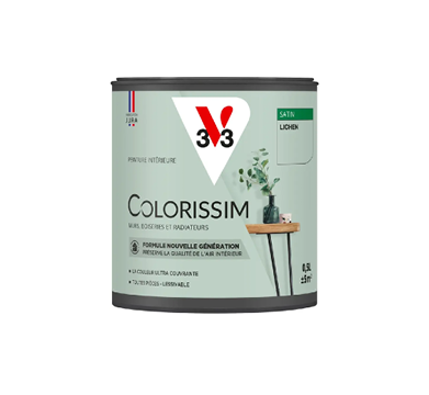 pot de peinture lichen v33