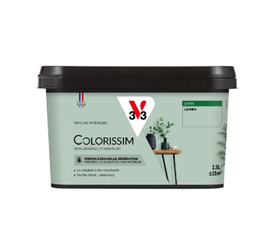 pot de peinture lichen v33